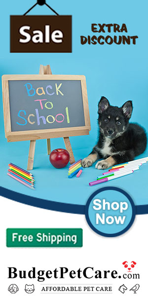 Time for Back to School: 15% off Just About Everything + 10% Instant Cashback! Apply Code: BACK2SCHL